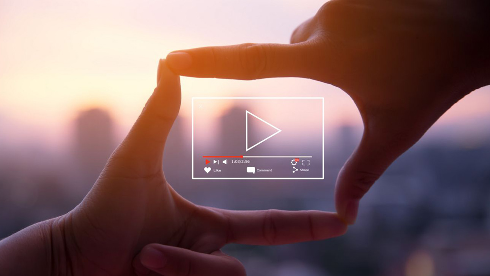 Asesoría técnica y científica